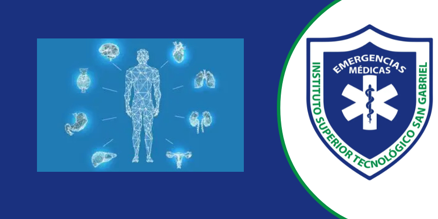 Fisiopatología_OM_26