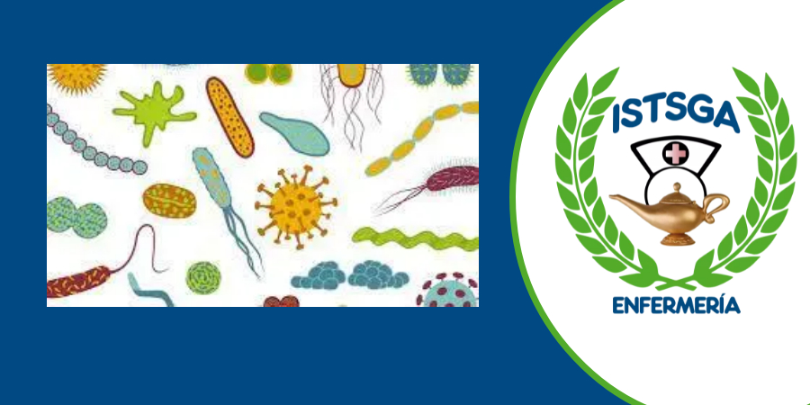 Microbiología y Parasitología_L_26